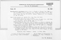Image Associated With the Occurence